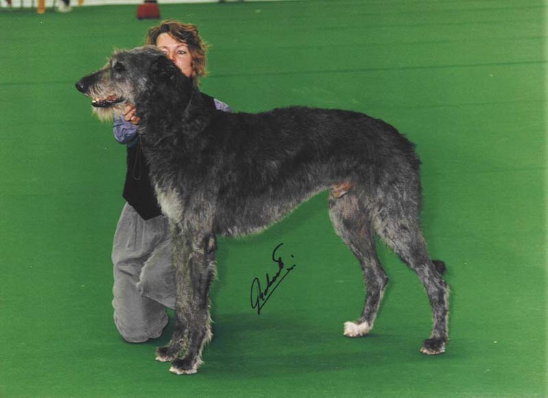 Lennon in Bern, wo er Weltmeister und Zweiter in der Gruppe wurde.